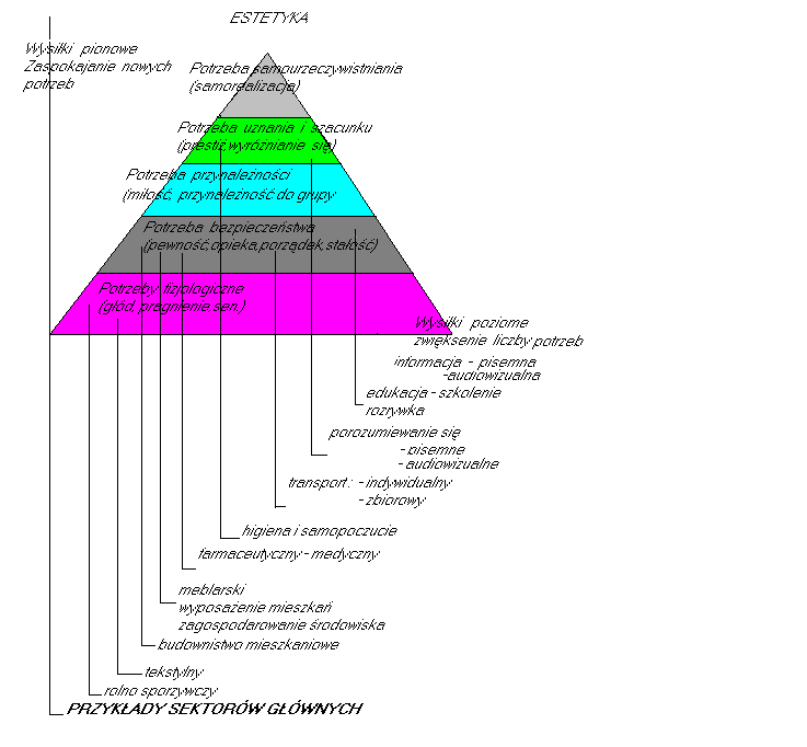 piramida potrzeb Masloła
