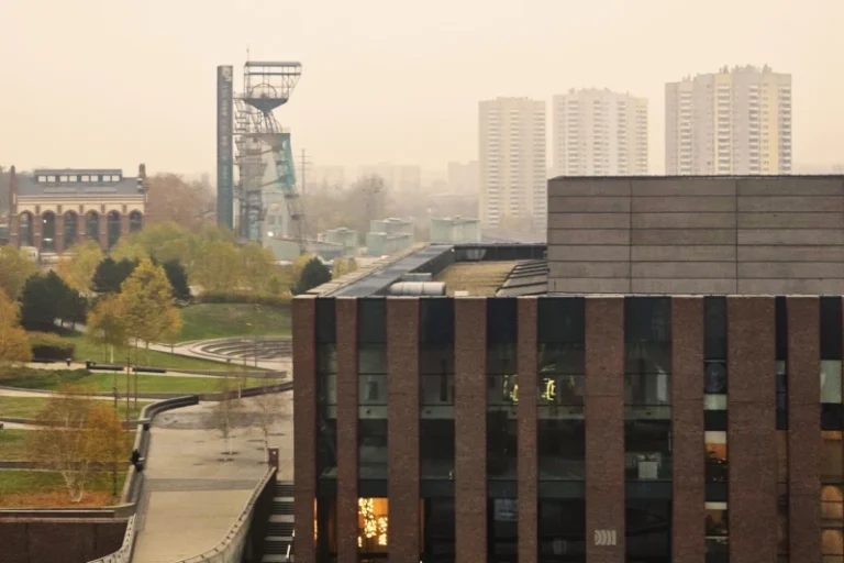 agencj marketingowa katowice